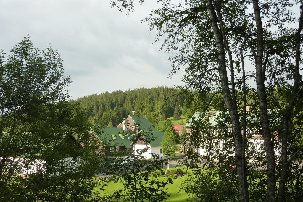 Penzion U Pstruha Modrava Esterno foto